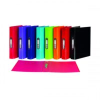 Premium Brand-Pukka Brights A4 Ring binder