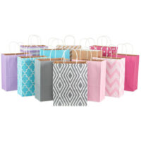 Assorted Gift Bag 5x14"