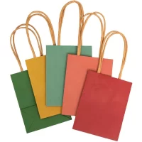 Assorted Gift Bag  10.5x12.5"