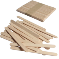 Popsicle Sticks 50pcs medium