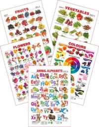 Assorted Educational Charts